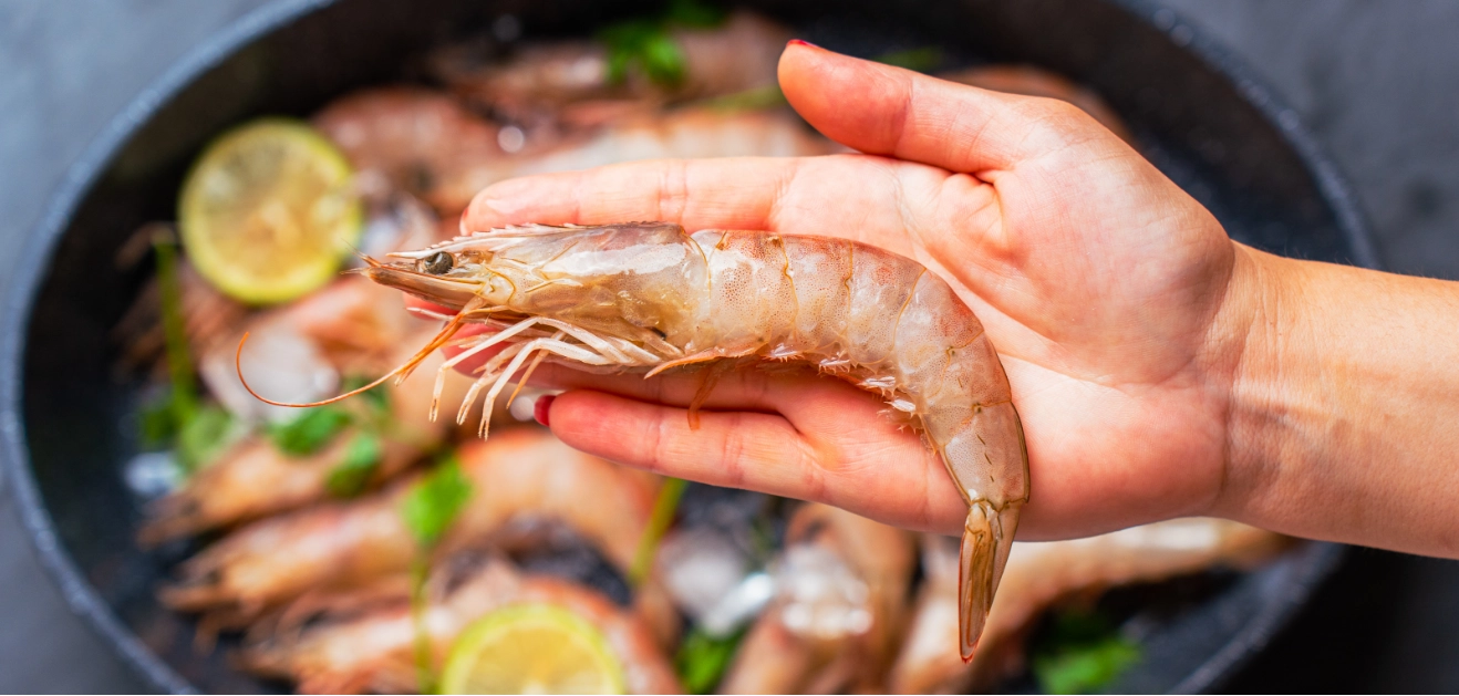 De la pêche à la table : comment BNF assure l’excellence de ses produits marins ?