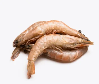 Crevette Gros Décortiquée | Fruits de mer surgelés BNF