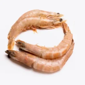 Crevettes 30P | Fruits de mer surgelés BNF