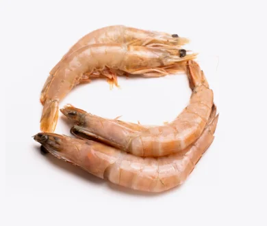 Crevettes 30P | Fruits de mer surgelés BNF