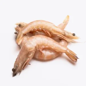 Crevettes 40P | Fruits de mer surgelés BNF