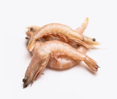 Crevettes 40P | Fruits de mer surgelés BNF