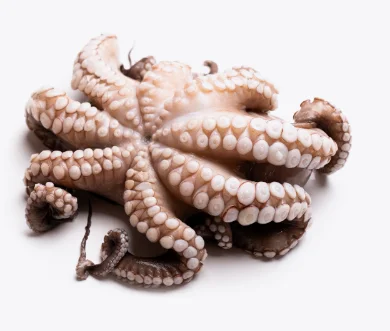 Poulpe Découpé | Fruits de mer surgelés BNF