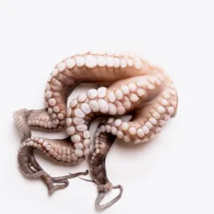 Poulpe Entier | Fruits de mer surgelés BNF