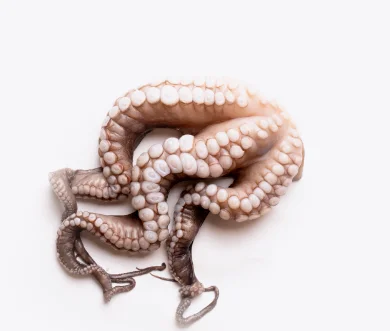 Poulpe Entier | Fruits de mer surgelés BNF