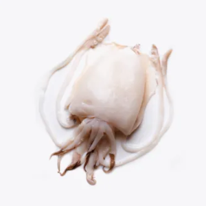 Seiche Gros Nettoyée | Fruits de mer surgelés BNF