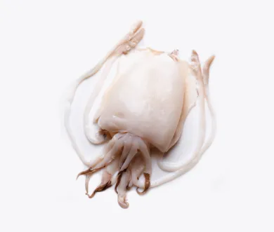 Seiche Gros Nettoyée | Fruits de mer surgelés BNF