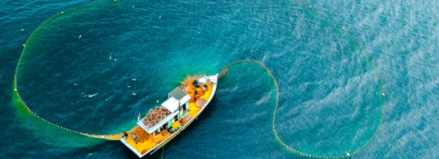 BNF propose des produits de la mer issus de pêche responsable et surgelés rapidement, garantissant fraîcheur, qualité, durabilité et disponibilité toute l’année à prix compétitifs.